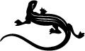 Lizard Lizard